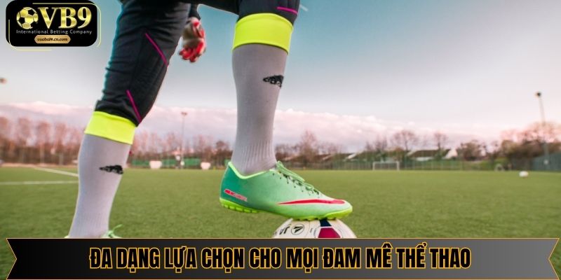 Đa dạng lựa chọn cho mọi đam mê thể thao
