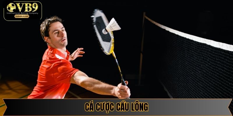Cá Cược Cầu Lông – Khám Phá Sân Chơi Tốc Độ & Lợi Nhuận Cao