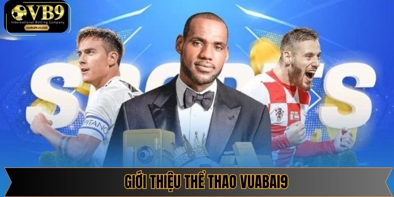 Thông tin về danh mục Sports vuabai9